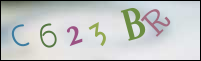 Registration Image