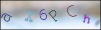 Registration Image