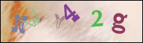 Registration Image