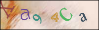 Registration Image