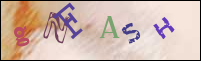 Registration Image