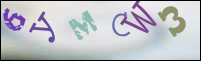 Registration Image