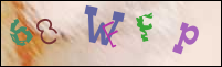 Registration Image