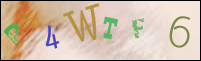 Registration Image