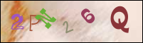 Registration Image