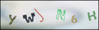 Registration Image