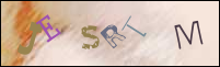 Registration Image