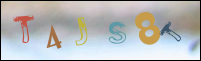 Registration Image