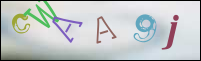 Registration Image