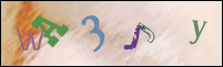 Registration Image