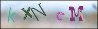 Registration Image