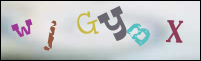Registration Image