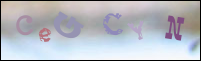Registration Image