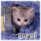 ErinB